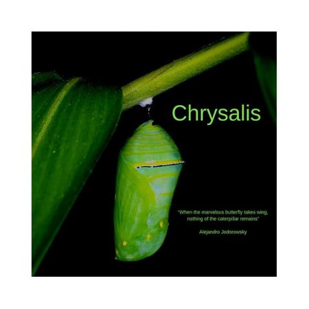 Aether Arts Perfume Chrysalis