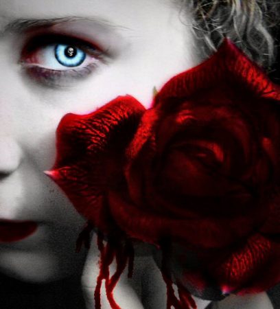 Neil Morris Fragrances Rose Vampyr review