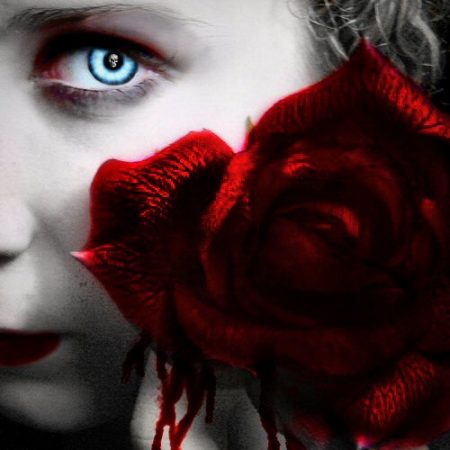Neil Morris Fragrances Rose Vampyr review