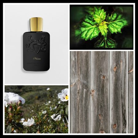 Parfums de Marly Nisean Review