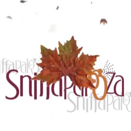 Sniffapalooza Fall Ball 2019 event