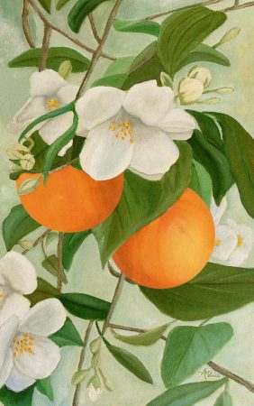 Sylvaine Delacourte Orange blossom collection review