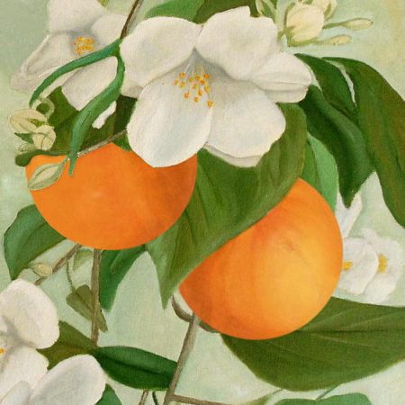 Sylvaine Delacourte Orange blossom collection review
