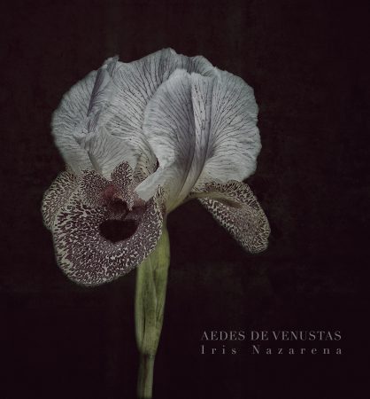 iris Bismarckiana Iris Nazarena aedes de venustas 2nd perfume in 2013