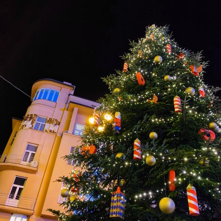 Christmas Tree at the Main Square in Zagreb, Cvjetkovic