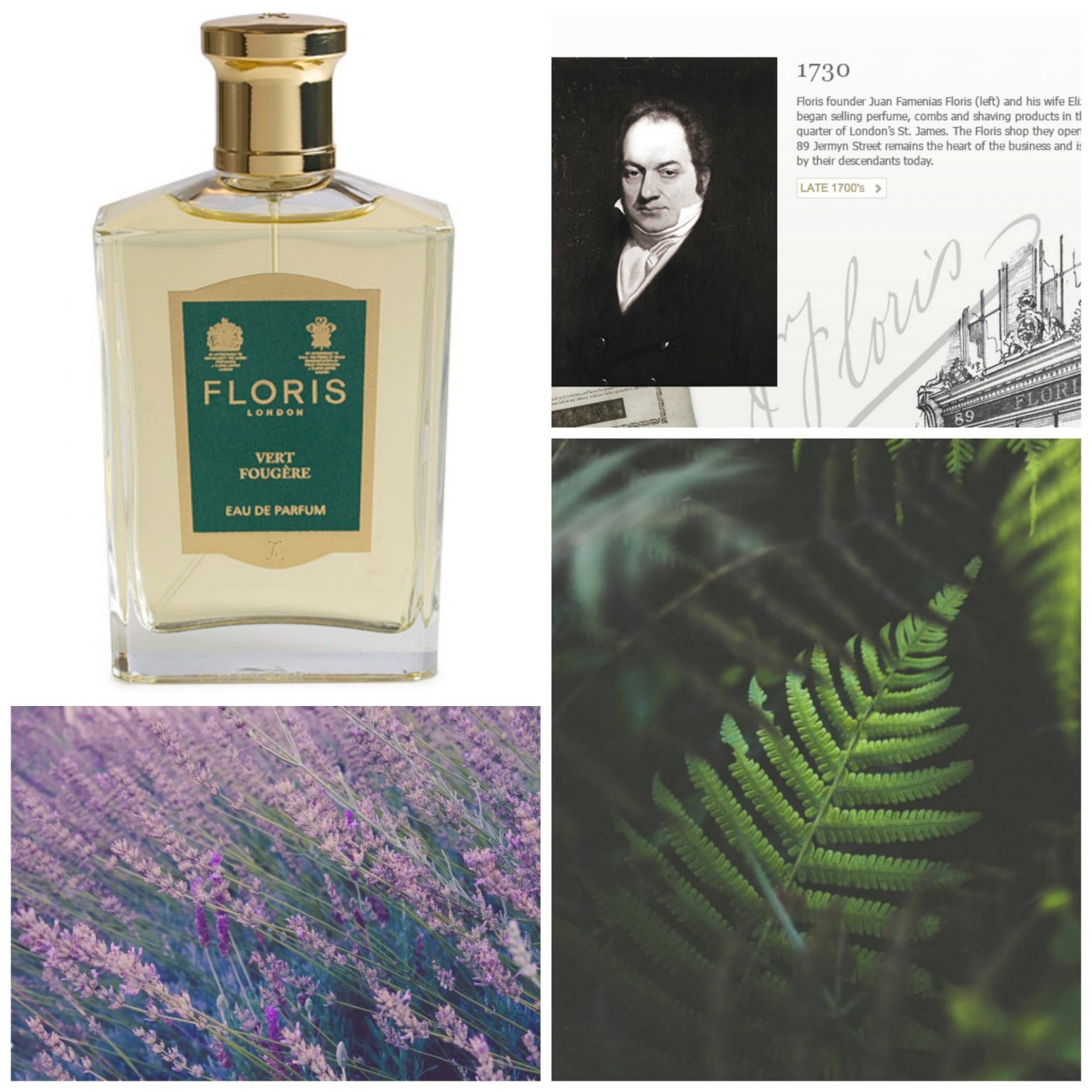 Floris London Vert Fougere Review