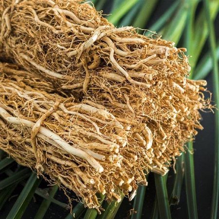 what is vetiver