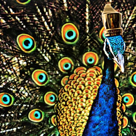 peacock art