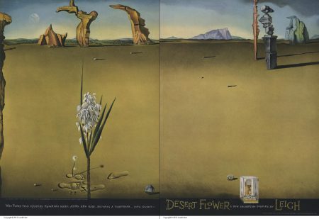 Dalí also created typography for Desert Flower
