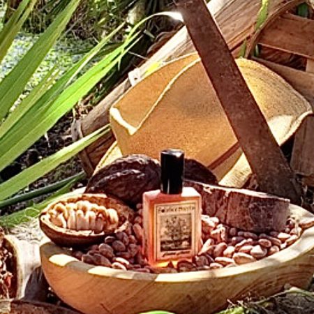 Solstice Scents Estate Cocoa Angela St John