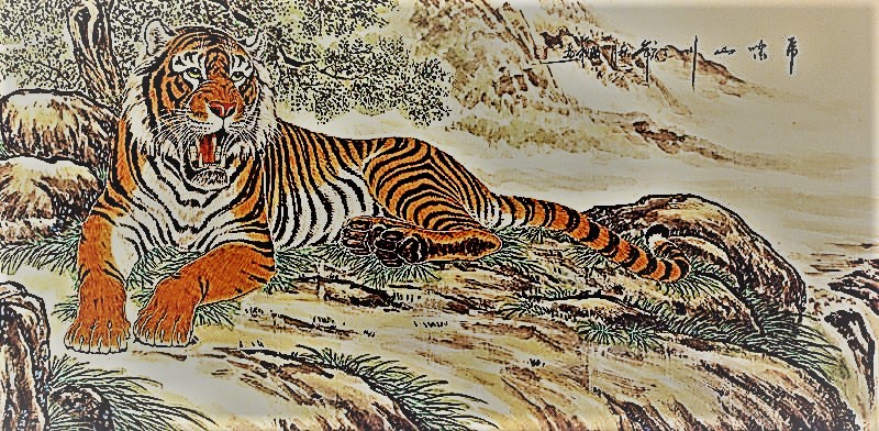 Bengal Tiger Review