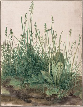 Albrecht_Dürer