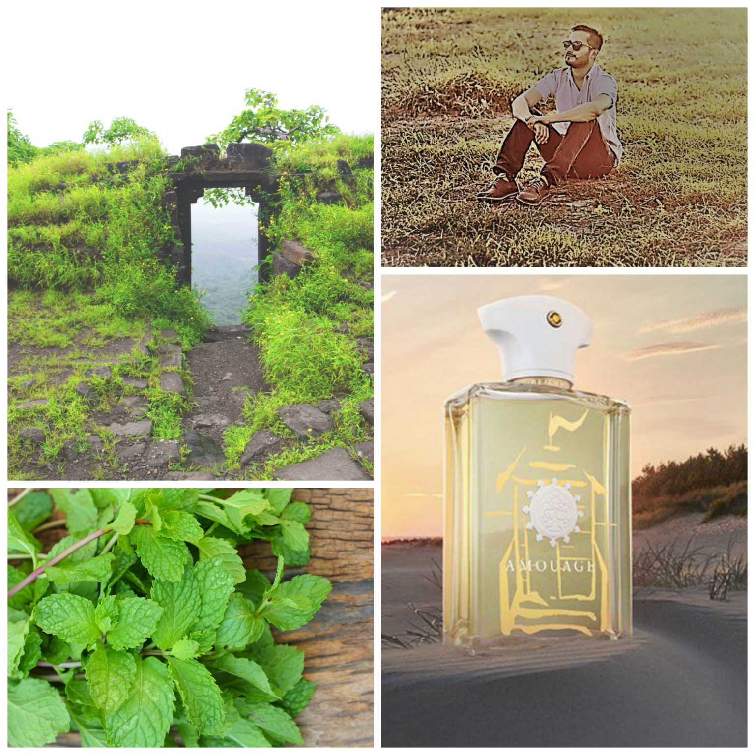Amouage Beach Hut Man review