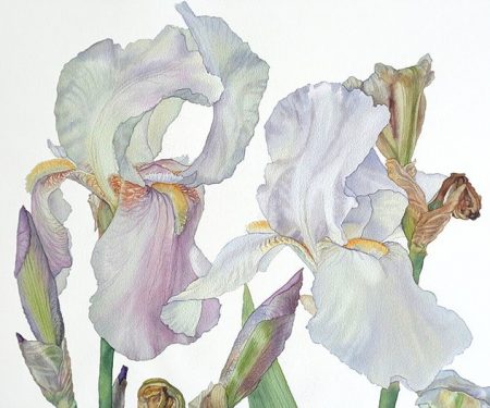 best niche iris perfumes