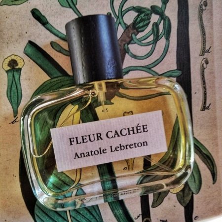 Anatole Fleur Cachee review