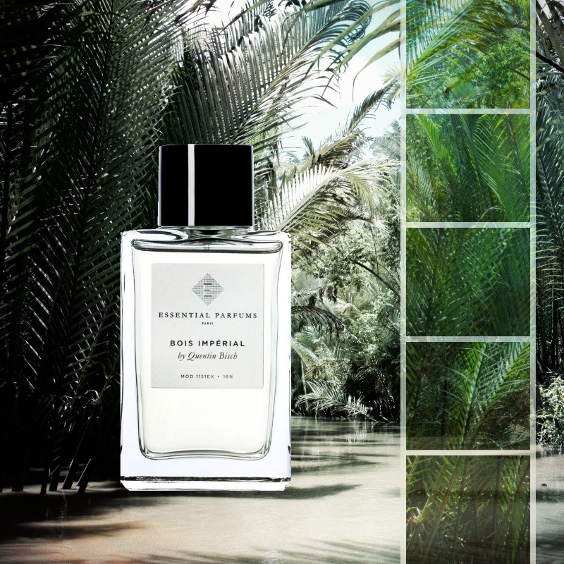 Bois des Indes by Levent » Reviews & Perfume Facts