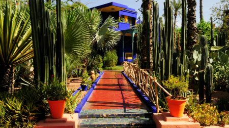 Jardin Majorelle, the gardens of the French couturier Yves Saint Laurent