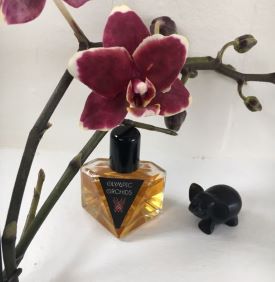 Olympic Orchids Perfumes Guajarat