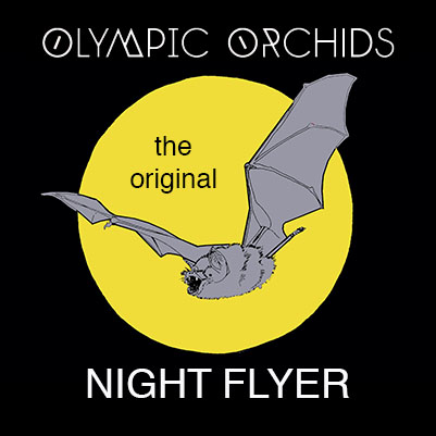Olympic Orchids Perfumes Night Flyer formerly Bat by Zoologist and geosmin 