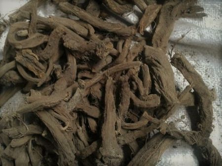  What is costus root