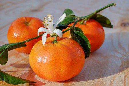 best tangerine perfumes