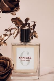 Eight & Bob Annicke 6 review