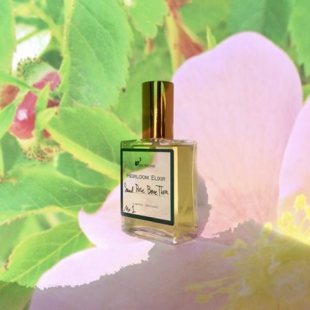 DSH Perfumes sand rose bone thrn review