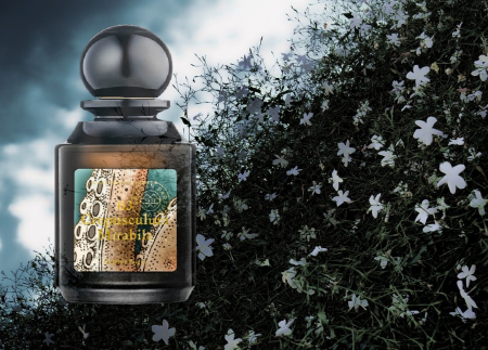 L'Artisan Parfumeur Crepusculum Mirabile review