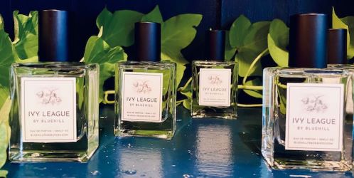 Ivy League Bluehill perfume - a fragrance for women and men 2021