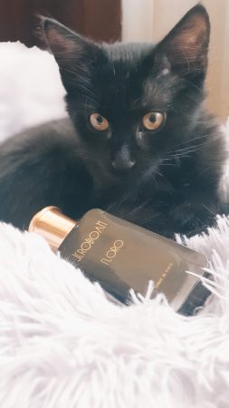 Best perfume and cat photos