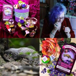Velvet & Sweet Pea’s Purrfumery Pangolin Violette Rose  review