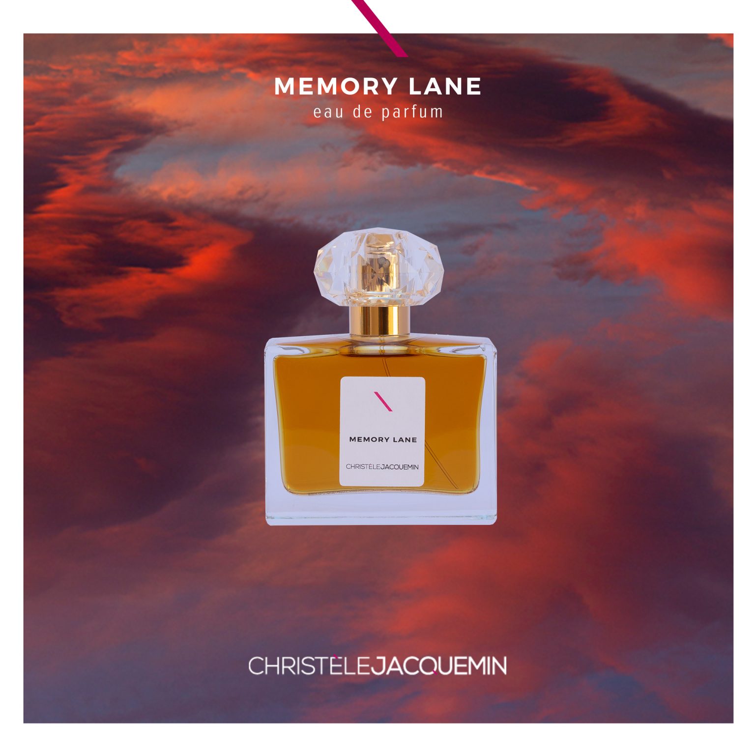 Christele Jacquermin Memory Lane