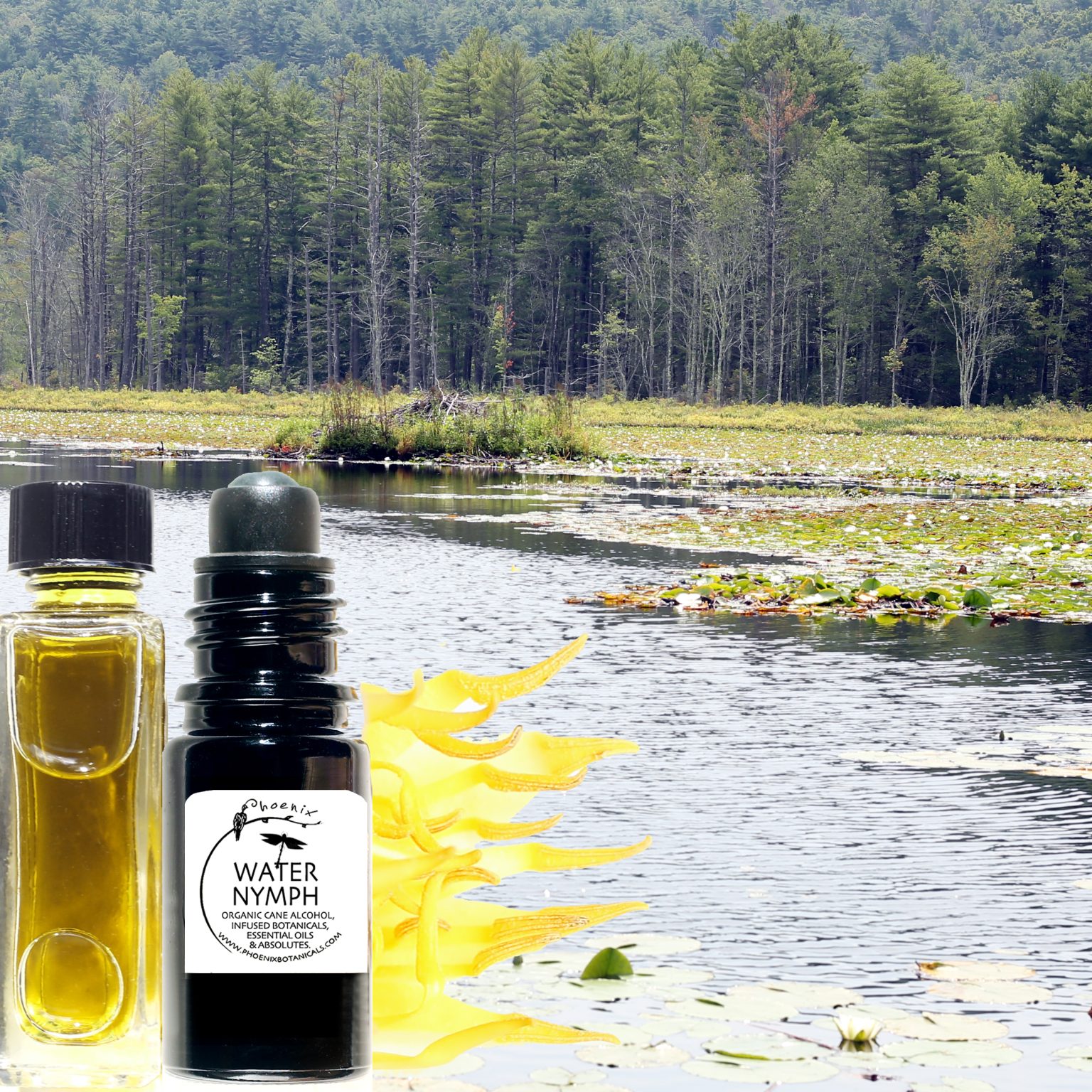 Phoenix Botanicals water nymph