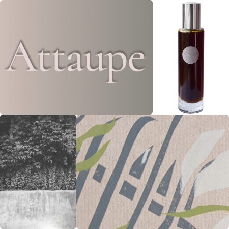 January Scent Project Attaupe review