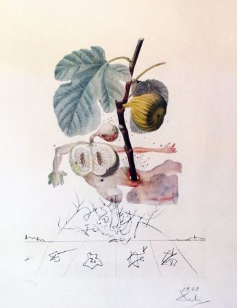 Salvador Dali 1969 lithography L'Homme Figuier - Flordali Fig Man via Artsy
