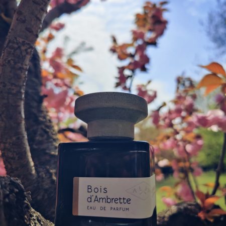 Bois d'Ambrette by Atelier Materi