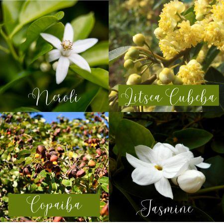 Ingredients used in all natural perfumes