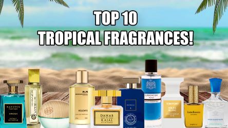 Best Tropical Fragrances 2022