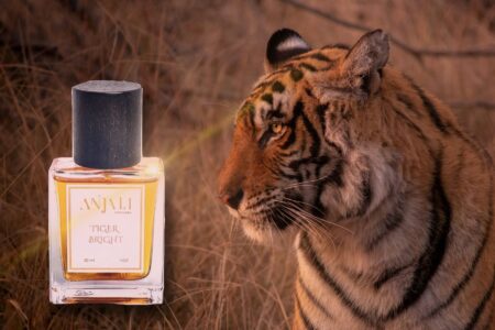Anjali Perfumes Tiger Bright