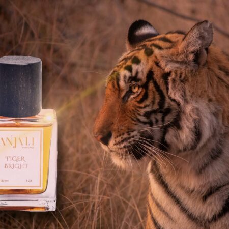 Anjali Perfumes Tiger Bright