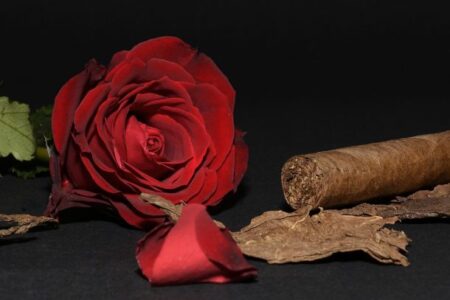 Tobacco and Roses Antonio Alessandria Parfums Amado MIo