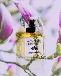 Providence Perfume Co Magnolia Mist review