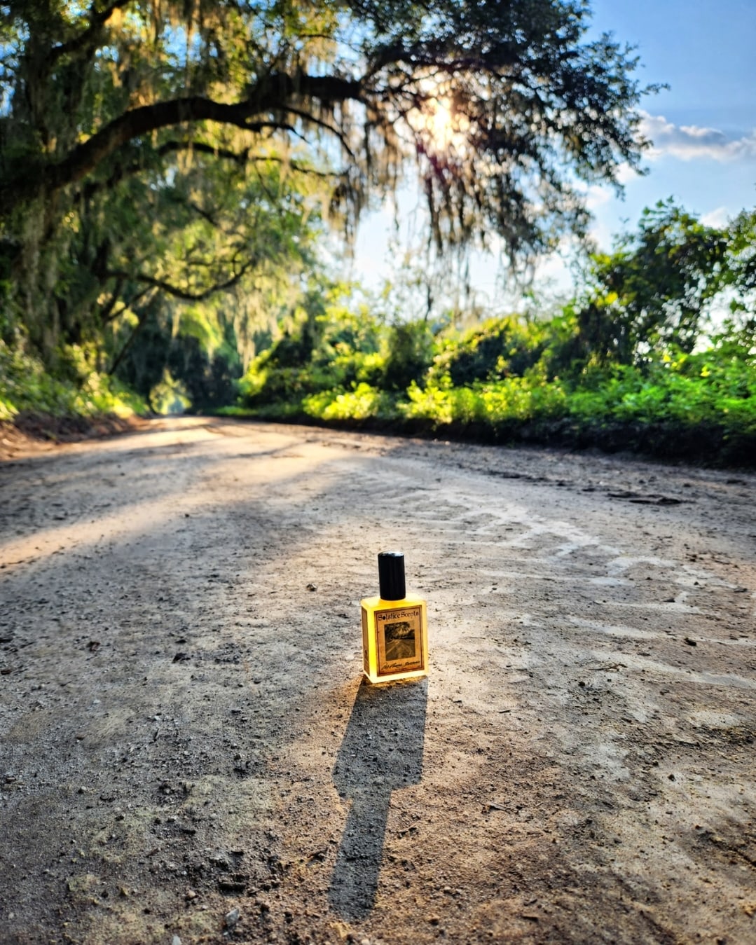 Outdated Florida Roads by Solstice Scents