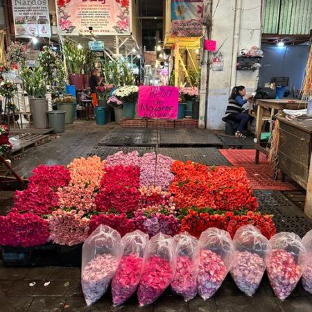 Mexico City flower market