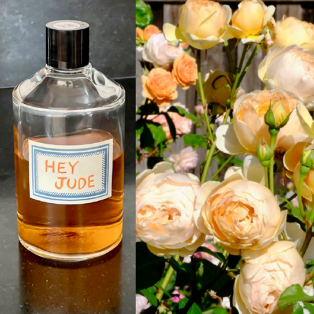 Jude the Obscure rose tincture used in Aftelier Perfumes Hey Jude