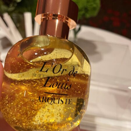 L'Or de Louis by Arquiste