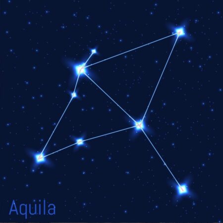 Aquila absolue