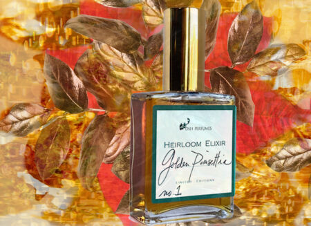 DSH Perfumes Golden Poinsettia
