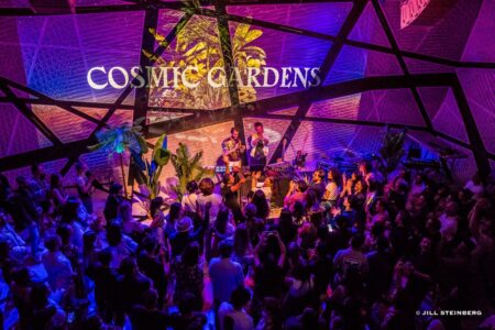 Cosmic Gardens at National Sawdust