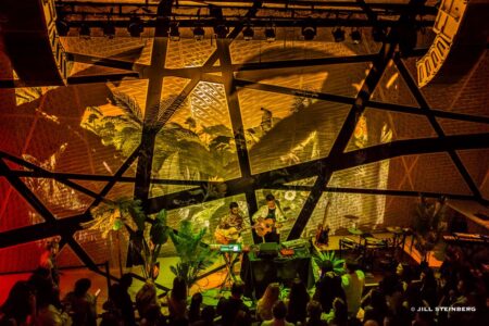 Cosmic Gardens at National Sawdust